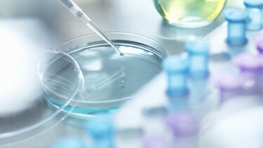 Petri dish