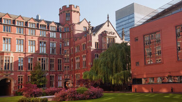 Firth Court quad