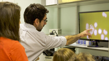 Senior Lecturer in Molecular Biology and Biotechnology, Adam Hodgson