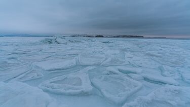 Ice 