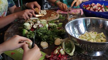 People chopping veg