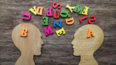 An image or two heads with lots of letters flying above them