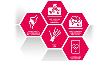 Insigneo Research Theme structure coral hexagons with theme names (Biomaterials/Biomechanics/Cell engineering Imaging life Computational modelling in medicine Healthcare data/AI Smart devices and sensors) and icons