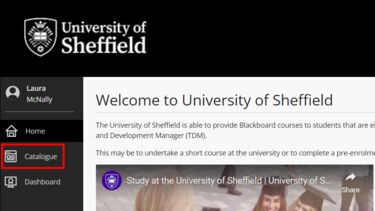 The external courses homepage version 2, with the Catalogue link highlighted in the left menu