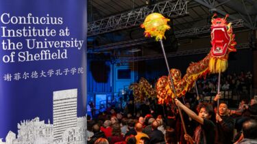 CNY article banner