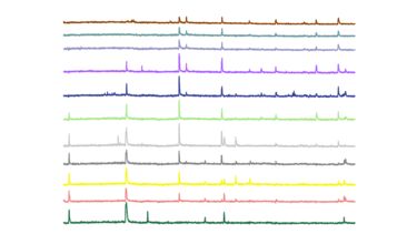 In vivo data