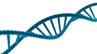 A strand of DNA