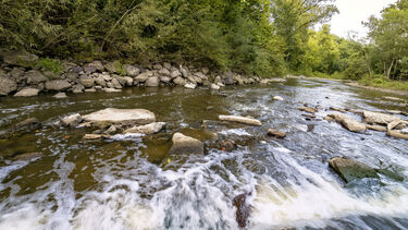 River image