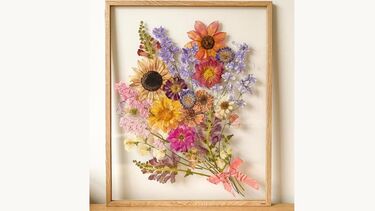 Pressed flowers 