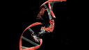 DNA string with clipping path against black background