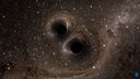 Black holes
