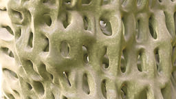 Bone health image
