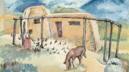 Chicken Yard-Taos